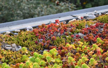 the cost of Barham green roof installation