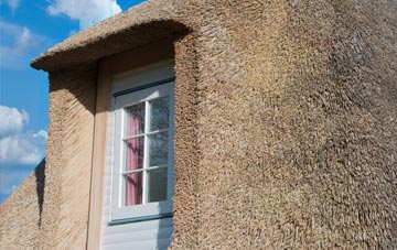 Barham thatch roof disadvantages